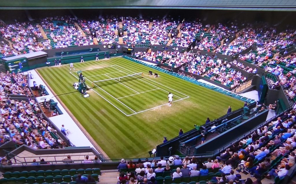 wimbledon tebbutt