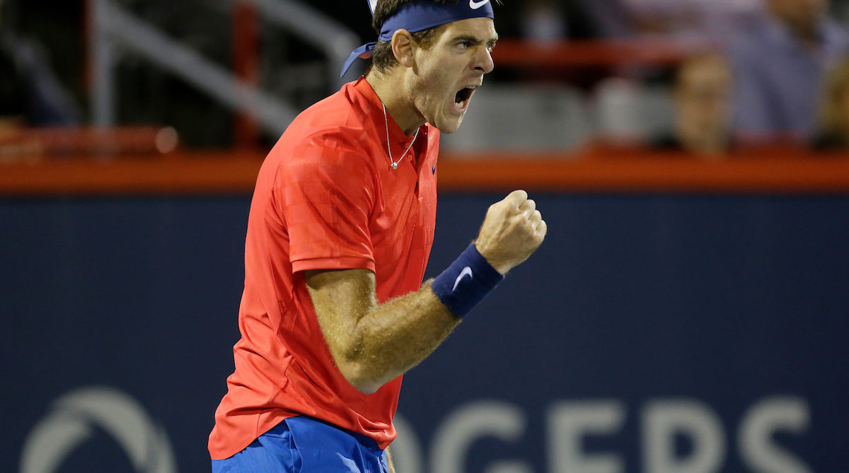 Juan Martin Del Potro pumps his fist and yells.