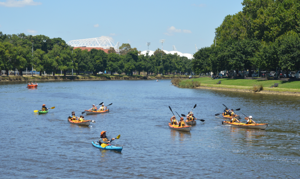 Paddlers paddle on the Yarra River.